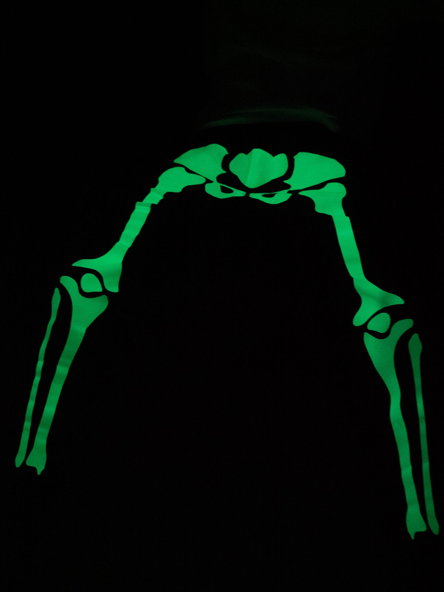"Luminous Bone" Sweat Pants